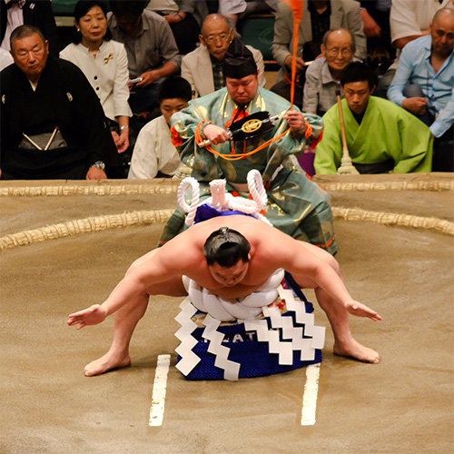 白鵬