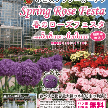 5/13（日）2018年 春のローズフェスタ　出店のお知らせ
