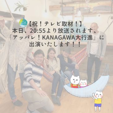 すさびハンモックがテレビに出ます！！